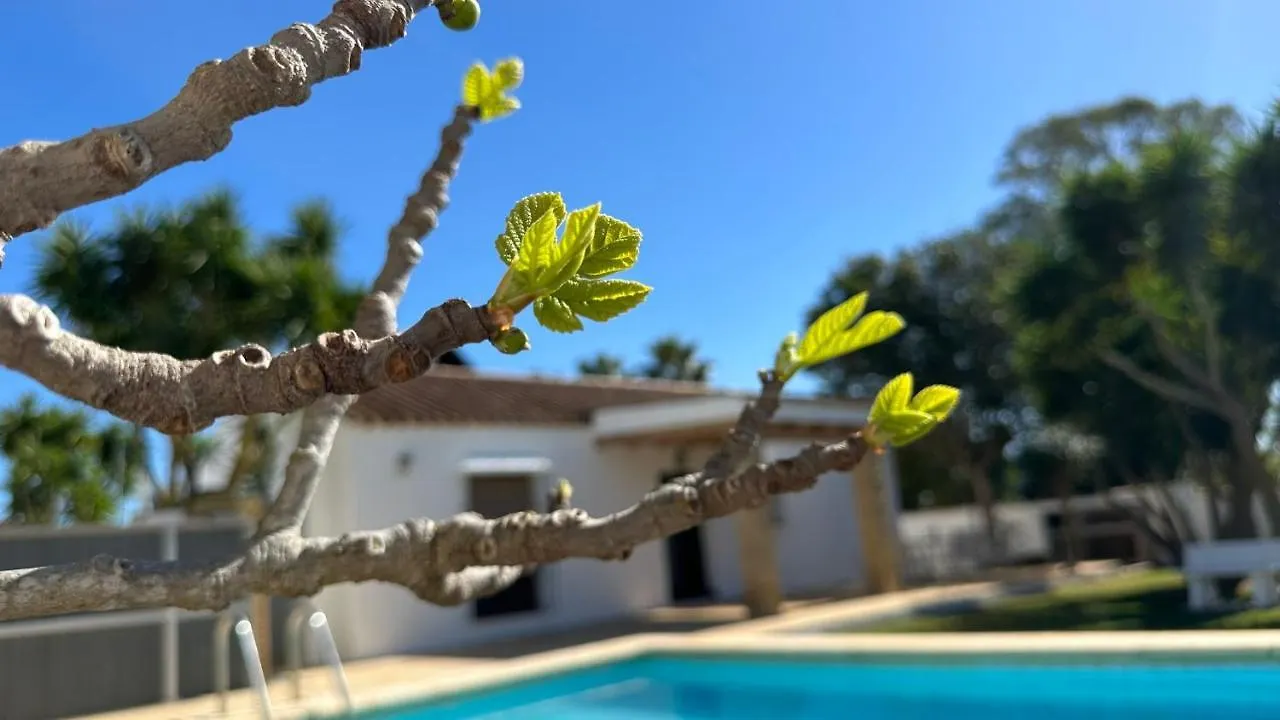 Vivienda Rural Atlantico Sur & Familias Guest House Conil De La Frontera