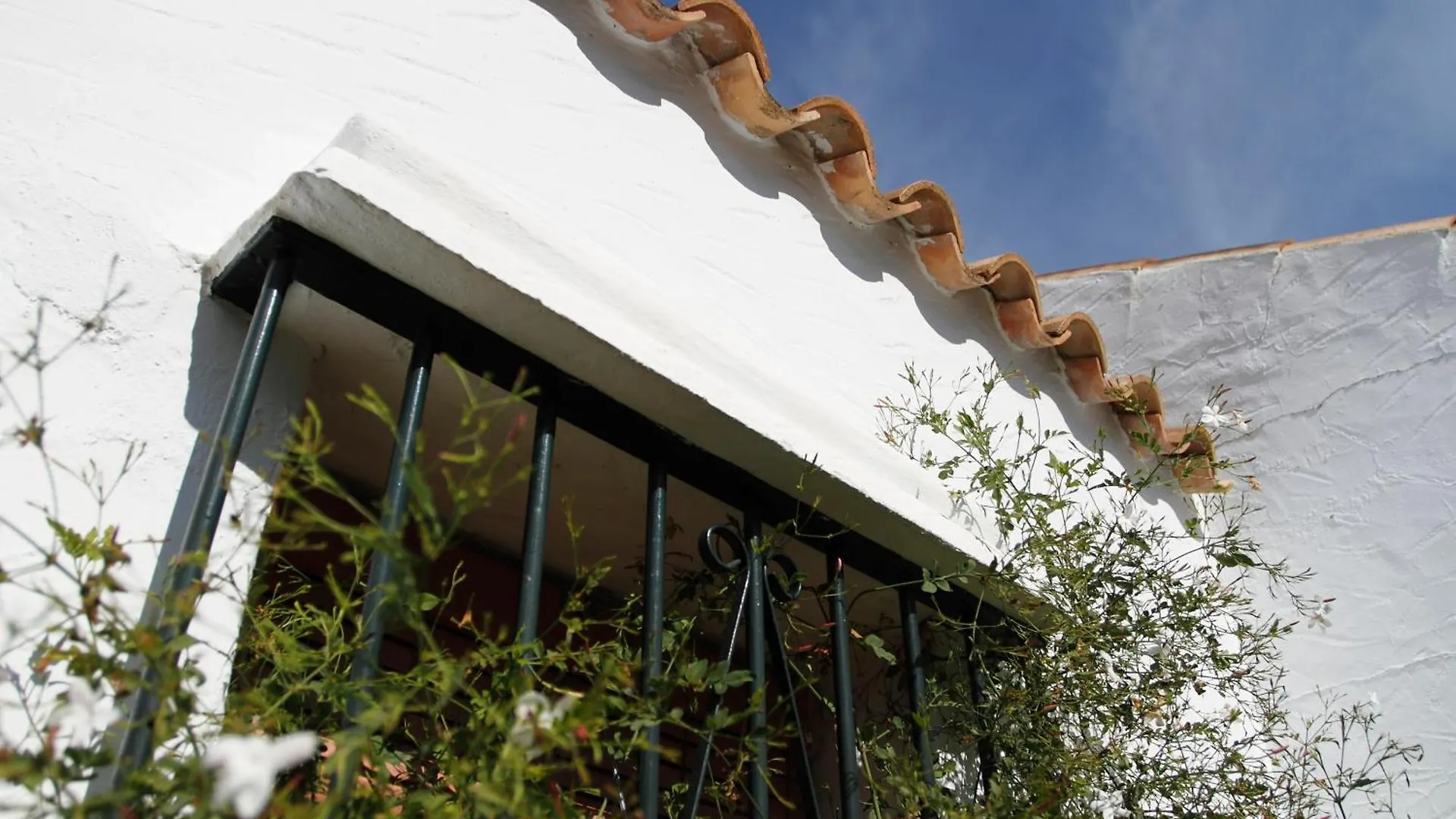 Vivienda Rural Atlantico Sur & Familias Guest House Conil De La Frontera Spain