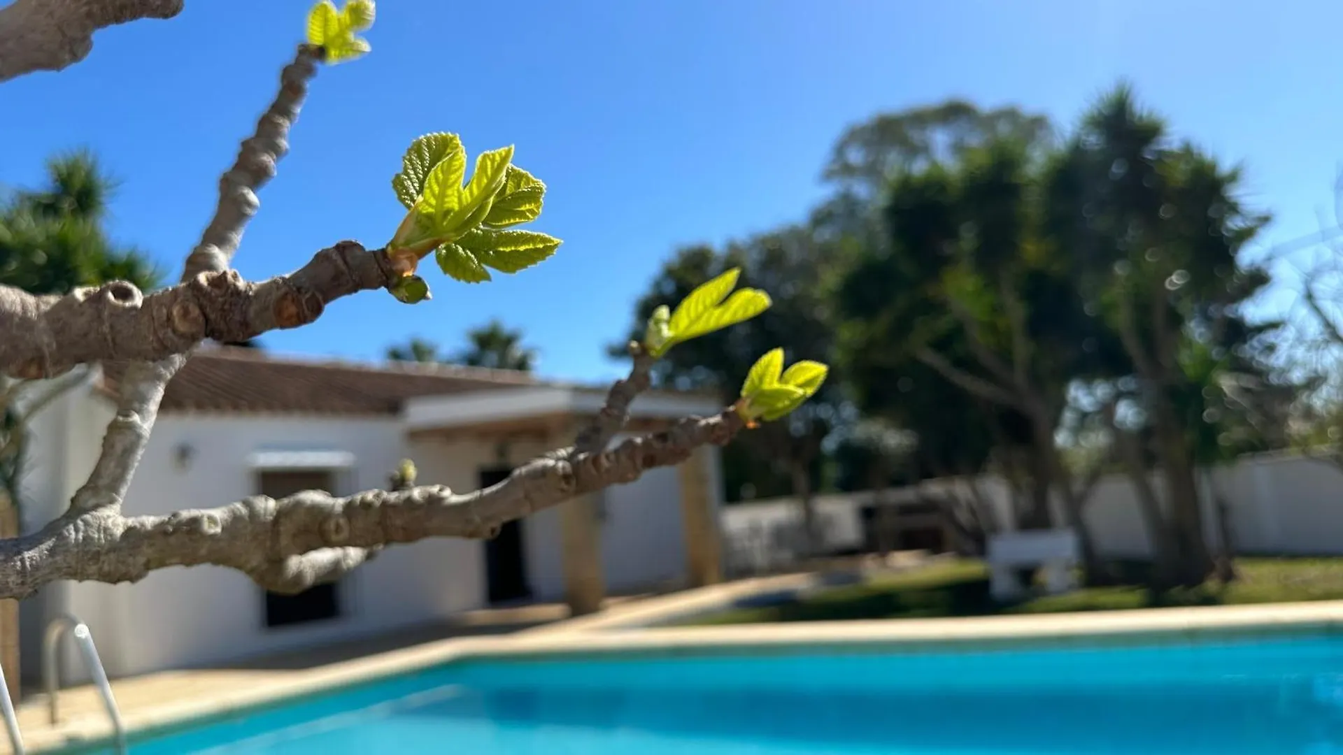 Country house Vivienda Rural Atlantico Sur & Familias Guest House Conil De La Frontera Spain